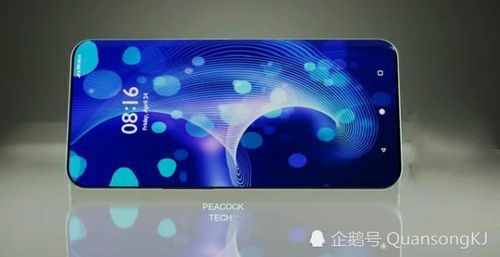 1加11手机参数