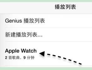 applewatch如何批量导入音乐