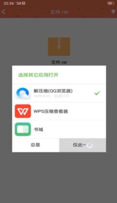 安卓手机如何打开.torrent文件