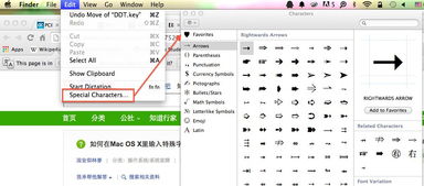 如何在Mac中输入特殊字符
