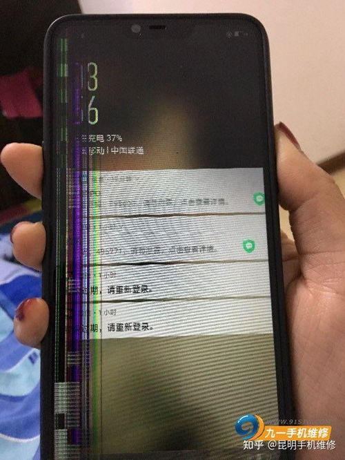 一般手机换个屏幕需要多少钱啊!