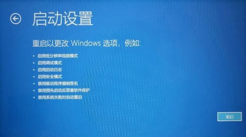雷神电脑Windows10反复蓝屏