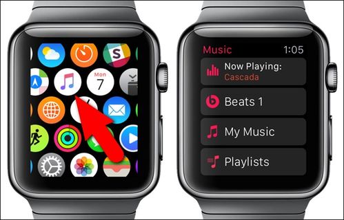 touch watch 怎么用