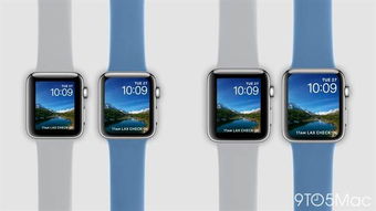 applewatch表带尺寸对照
