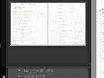 maclightroom预设怎么导入