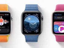 applewatch怎么看型号