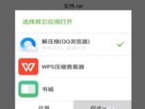 安卓手机如何打开.torrent文件