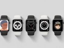 Apple Watch睡眠无数据是什么情况
