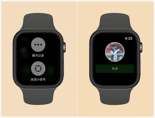 apple watch可以微信视频吗