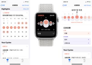 watch噪音app无法检测