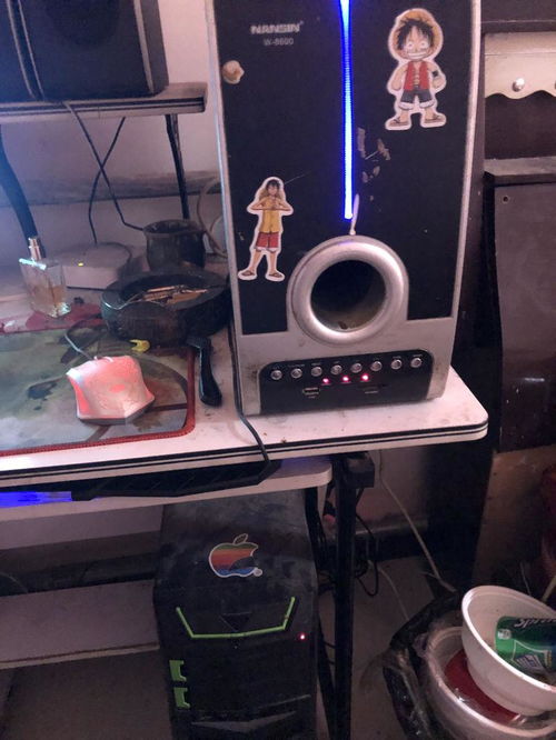 电脑音箱没有声音怎么办不亮