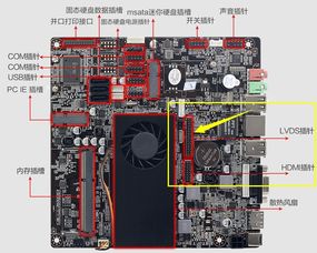 联想电脑c455一体机可以随便换CPU吗
