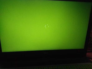 dell一体机开机时一直显示dell这个画面。