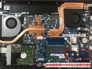机械师t50能加固态吗