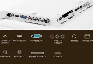 海尔55寸液晶电视后面插孔用图片指点
