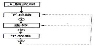 红外触发相机调查种群密度