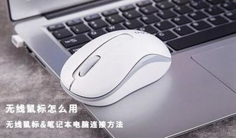 笔记本电脑如何使用鼠标