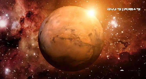 火星人各个牌子的区别
