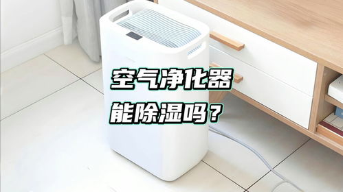 净化器可以除湿吗