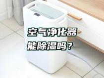 净化器可以除湿吗