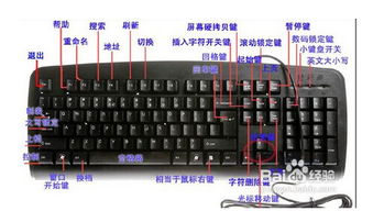 笔记本电脑中ctrl键是什么键功能是什么