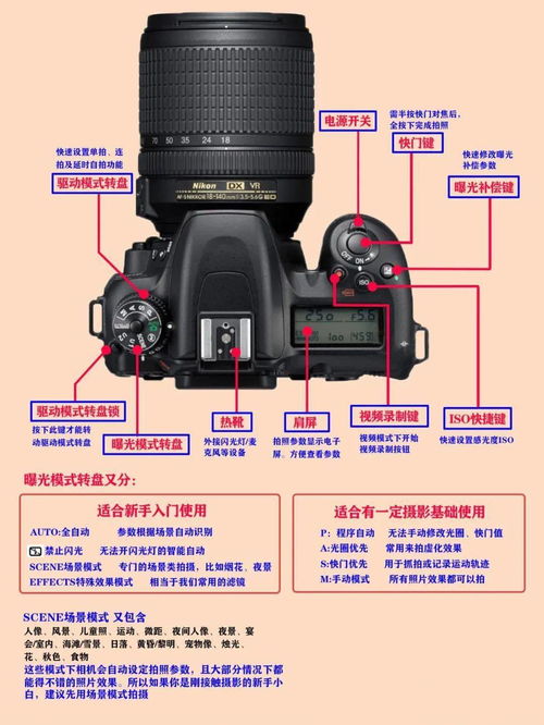 请问有哪些比较好的适合抓拍的相机