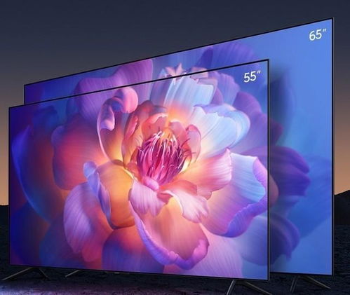 小米电视65寸哪个型号好