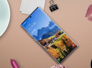 华为CP61可以给三星note10 无线充吗