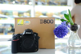 尼康d800属于哪个级别相机