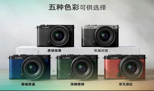 lumix相机按键介绍