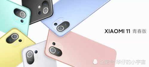 为什么我的小米11青春版屏幕经常失灵