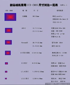 相机23传感器是多大