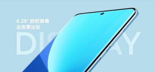 小米12X屏幕有多大