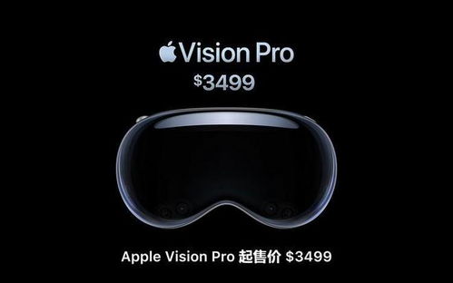 vision pro是干什么的