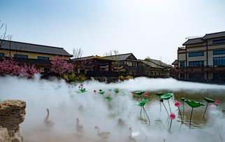 石家庄闺蜜好去处