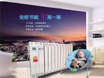 水暖一体机优缺点