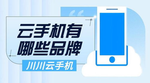 2024年手机品牌排行榜