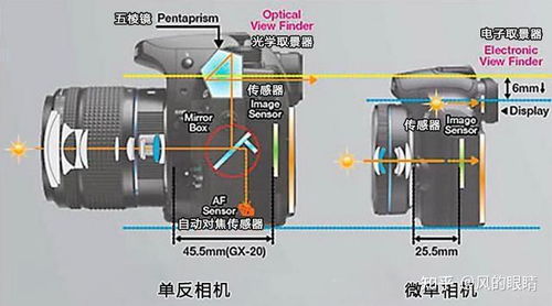 无反和单反到底有什么区别