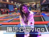 成年人必备游戏手游 成年人的ps4游戏