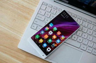 换一个小米手机屏要多少钱