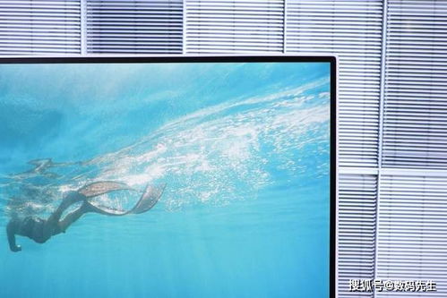 DELL戴尔 灵越5401一体机电脑